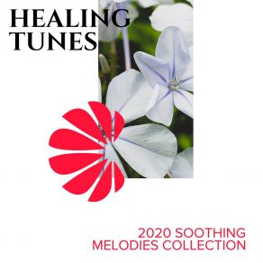 Healing Tunes - 2020 Soothing Melodies Collection album cover