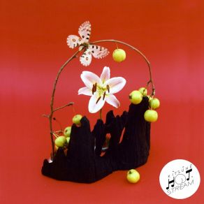 Network album cover