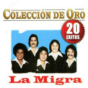 Colección De Oro - 20 Exitos album cover