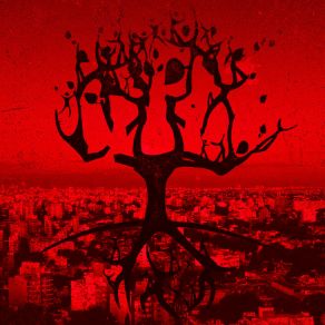 Motivos Equivocados album cover