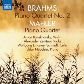 Brahms & Mahler: Piano Quartets album cover