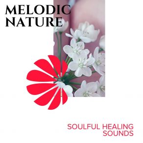 Melodic Nature - Soulful Healing Sounds album cover