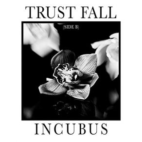 Trust Fall (Side B) album cover
