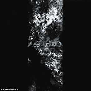 SYNTHESIZE album cover