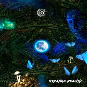 Strange Reality (Maxi-Single) album cover