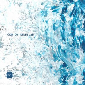 Micro Lab album cover