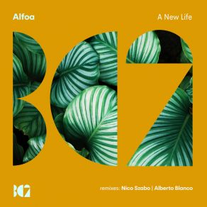 A New Life album cover