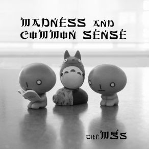 Madness And Common Sense album cover