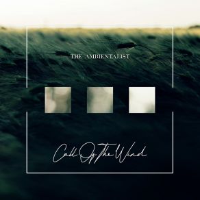 Call Of The Wind album cover