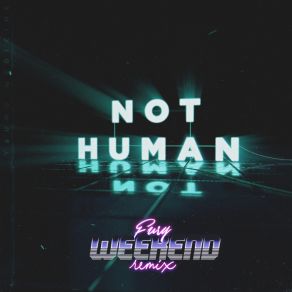 Not Human (Fury Weekend Remix) album cover