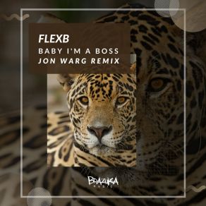Baby I'm A Boss (Jon Warg Remix) album cover