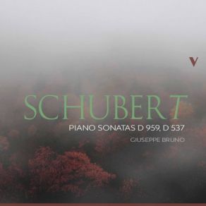 Schubert: Piano Sonatas, D. 959 & D. 537 album cover
