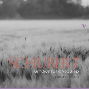 Schubert: Impromptus Opp. 90 & 142 album cover