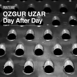 Day After Day album cover