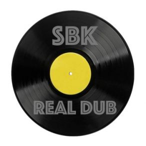 Real Dub / Failure At Launch (Maxi-Single) album cover