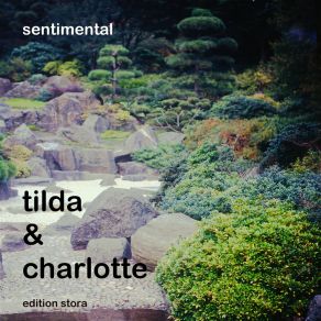 Sentimental album cover