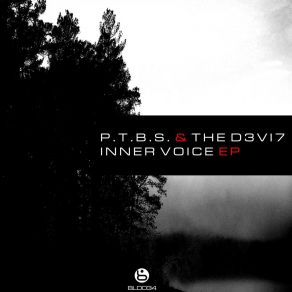 Inner Voice album cover