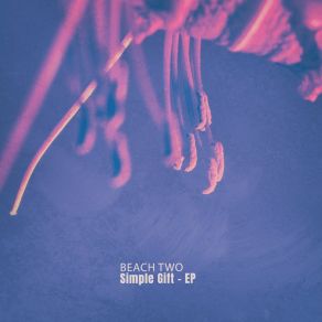 Simple Gift album cover