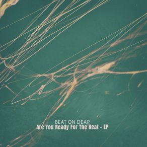 Are You Ready For The Beat album cover