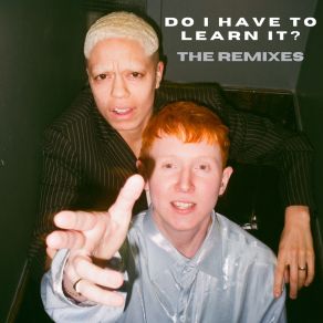 Do I Have To Learn It? (The Remixes) album cover