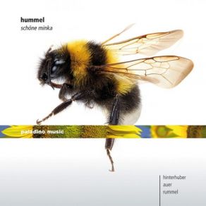 Hummel: Schöne Minka album cover