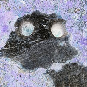 Hellige Bøffelmelk album cover