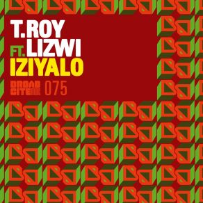 Iziyalo album cover