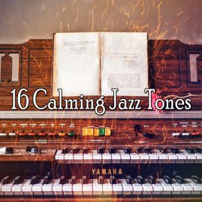 16 Calming Jazz Tones album cover