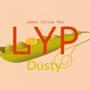 Dusty album cover