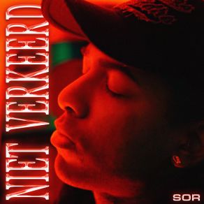 Niet Verkeerd album cover
