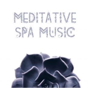 Meditative Spa Music album cover
