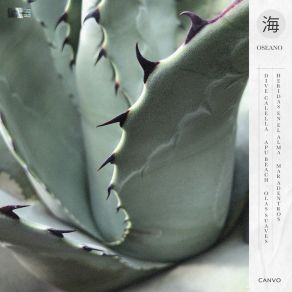 Oseano album cover