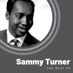 The Best Of Sammy Turner album cover