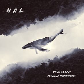 Hal (Single) album cover