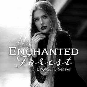 Enchanted Forest (Single) album cover
