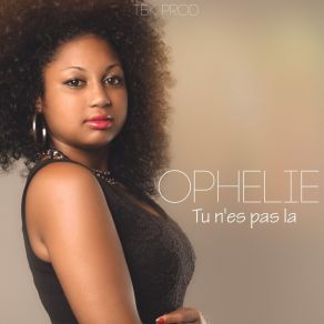 Tu N'es Pas Là (Single) album cover