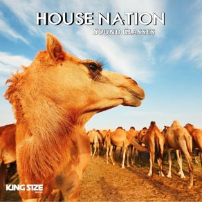 House Nation (Dj Global Byte Mix) (Single) album cover