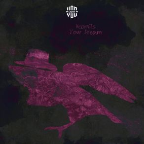 Your Dream (Single) album cover