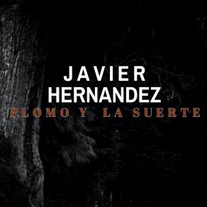 Plomo Y La Suerte (Single) album cover