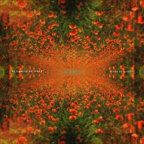 Besos De Flores (Single) album cover