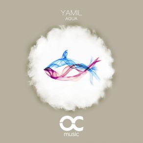 Agua (Original Mix) (Single) album cover