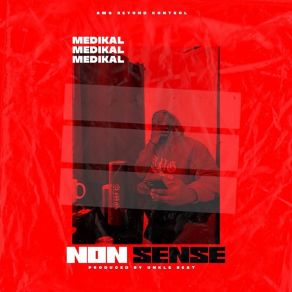 Nonsense (Single) album cover