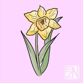 Daffodil (Single) album cover