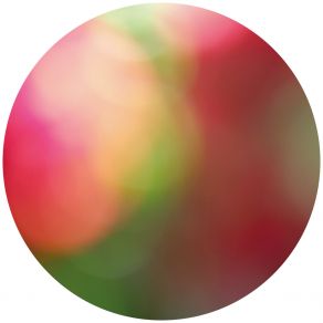 Pulsar (Single) album cover