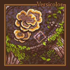 Versicolor (Single) album cover