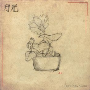 Luces Del Alba (Single) album cover