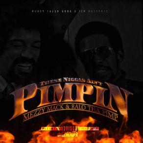 These Niggas Ain't Pimpin' (Single) album cover