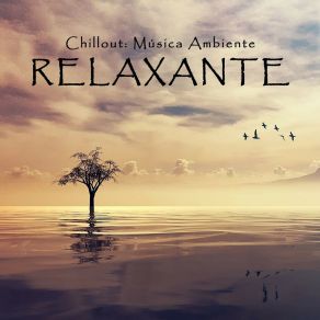 Chillout: Música Ambiente Relaxante album cover