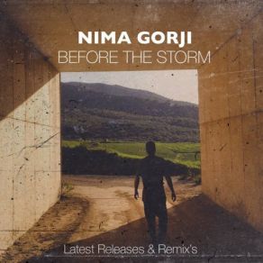 Before The Storm album cover
