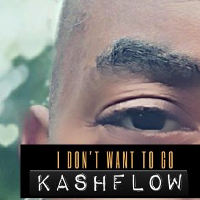 I Dont Wanna Go album cover